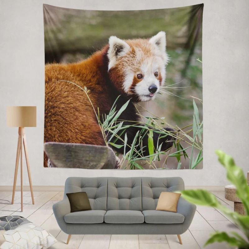 Endearing Red Panda Wall Hanging Tapestry