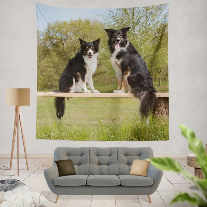 Energetic Border Collie Dynamic Charm Wall Hanging Tapestry