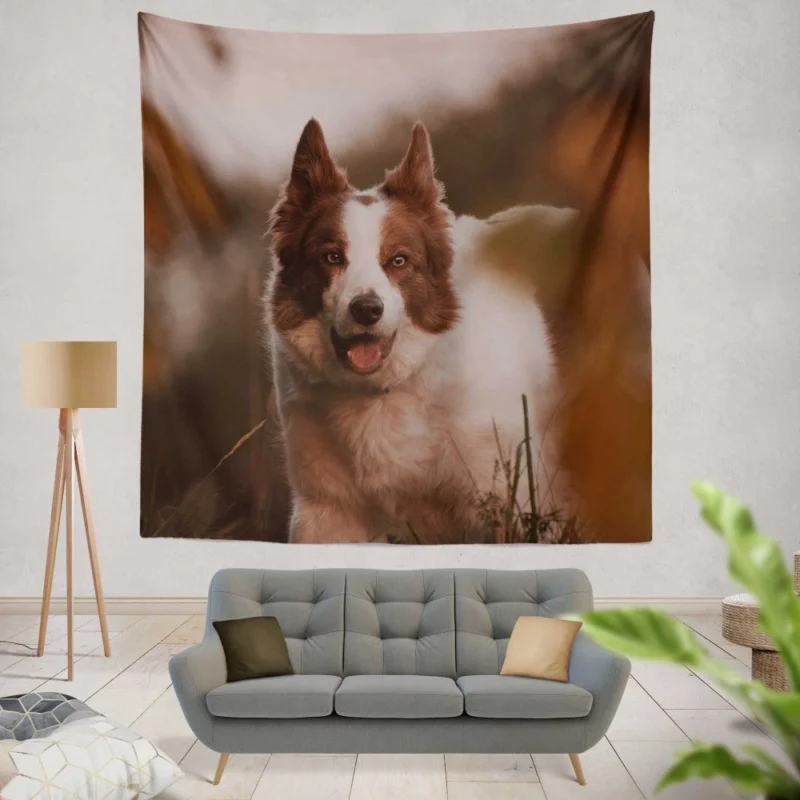 Energetic Charm Border Collie Wall Hanging Tapestry