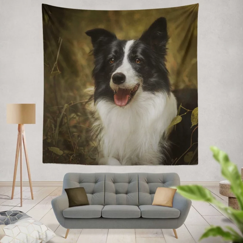 Energetic Essence Border Collie Wall Hanging Tapestry