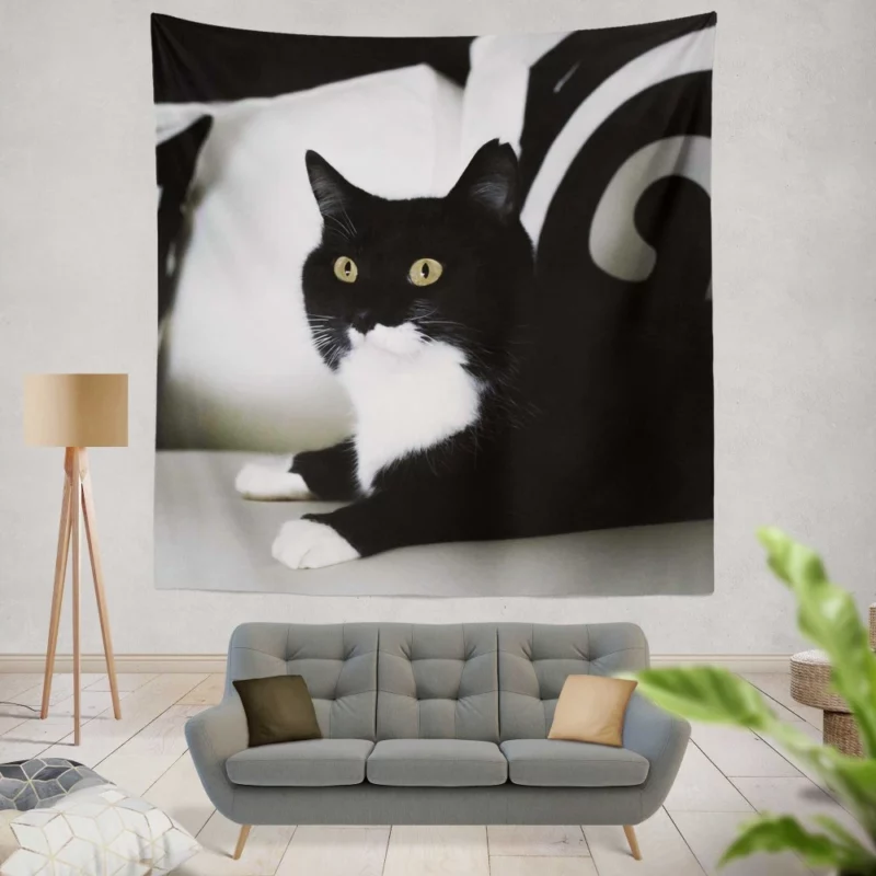 Enigmatic Cat Mystery Wall Hanging Tapestry