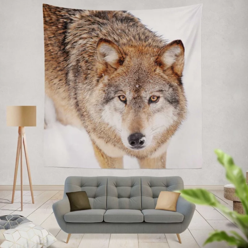 Enigmatic Wolf Gaze Untamed Wilderness Wall Hanging Tapestry