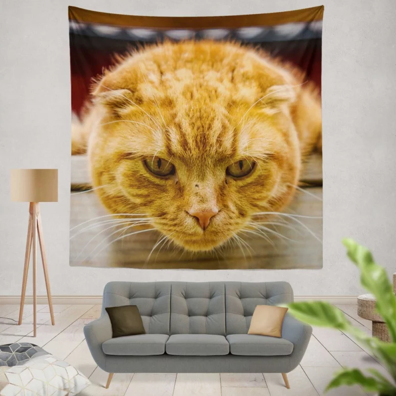 Feline Fascination Cat Mysterious Gaze Wall Hanging Tapestry