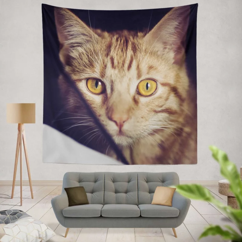 Feline Fascination Cat Mysterious Stare Wall Hanging Tapestry