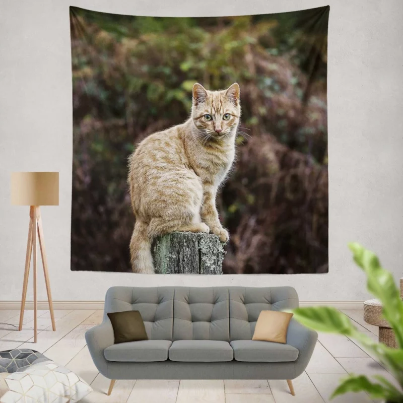 Feline Gaze in Depth Enigmatic Presence Wall Hanging Tapestry