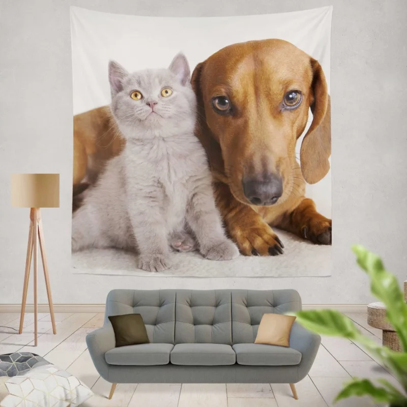 Feline and Canine Friends Playful Camaraderie Wall Hanging Tapestry