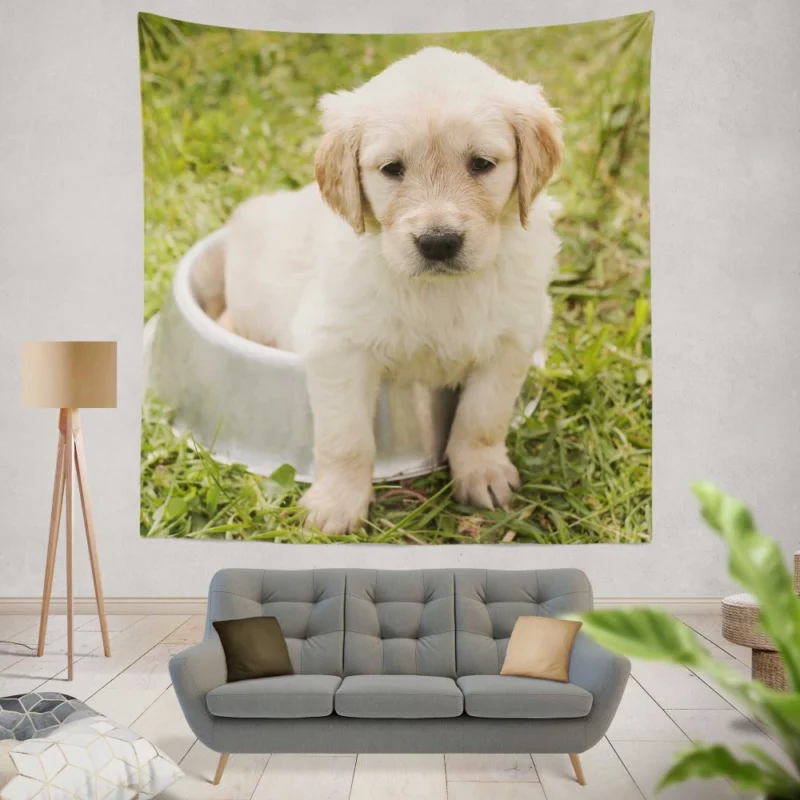 Fluffy Golden Retriever in Dish Wall Hanging Tapestry