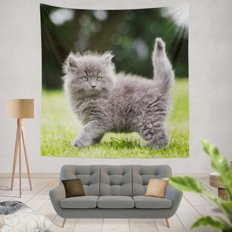 Fluffy Kitten Innocent Gaze Baby Charm Wall Hanging Tapestry