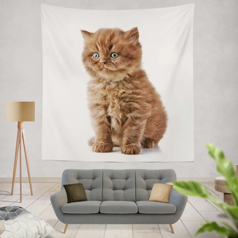 Fluffy Kitten Sweet Playfulness Wall Hanging Tapestry