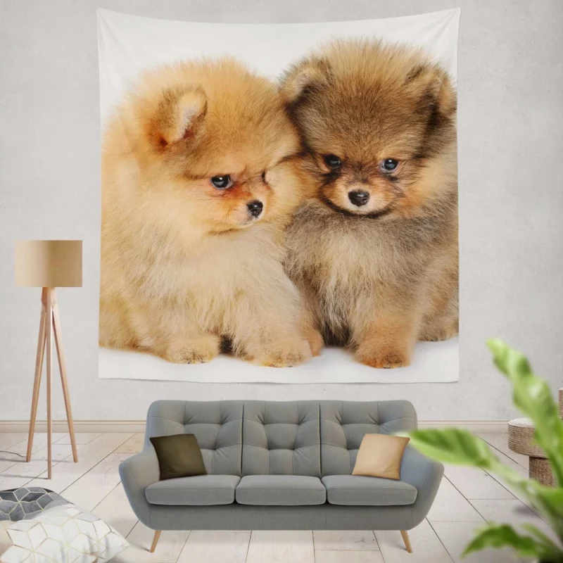 Fluffy Spitz Puppies Furry Delight Wall Hanging Tapestry