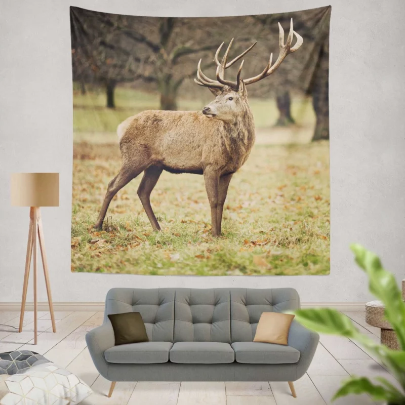 Forest Presence Majestic Deer Wall Hanging Tapestry