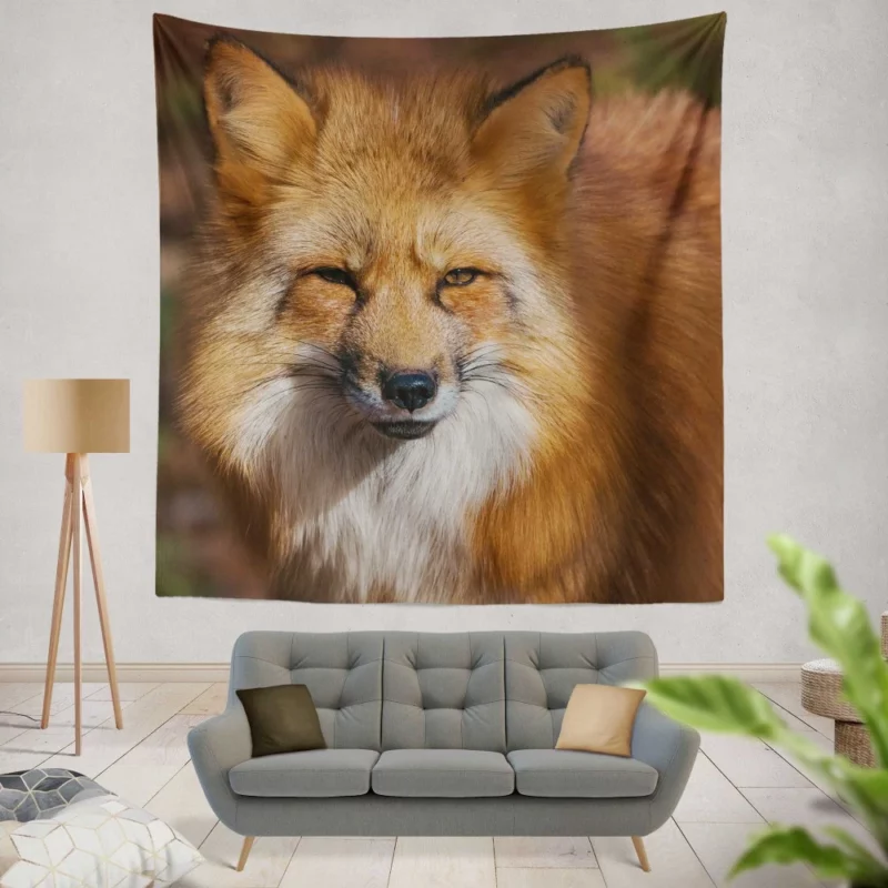 Fox Intense Stare Winter Whimsy Wall Hanging Tapestry