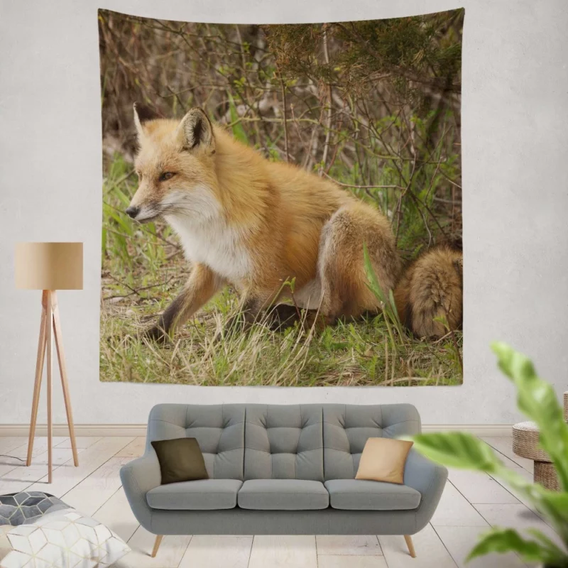 Fox Mysterious Charm Nature Enigma Wall Hanging Tapestry