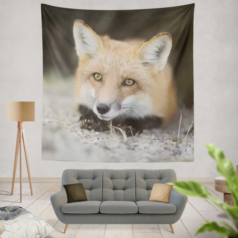 Fox Mysterious Gaze Enigmatic Charm Wall Hanging Tapestry