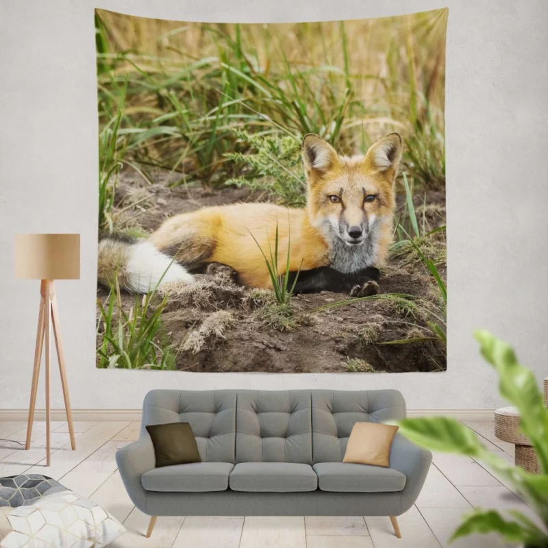 Fox Penetrating Stare Nature Intrigue Wall Hanging Tapestry