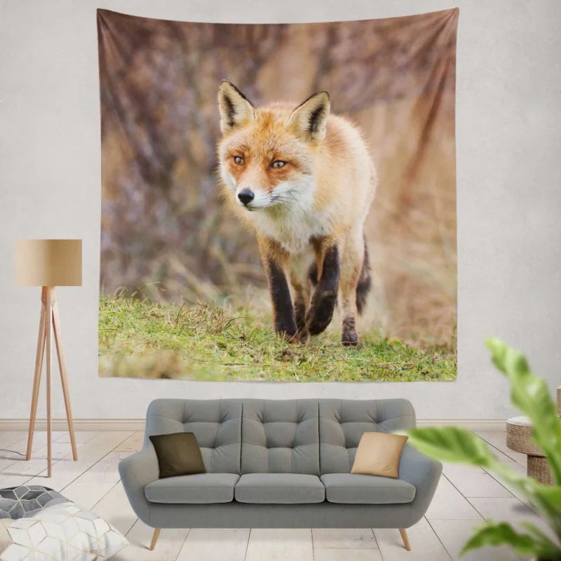 Fox Playful Charm Nature Whimsy Wall Hanging Tapestry