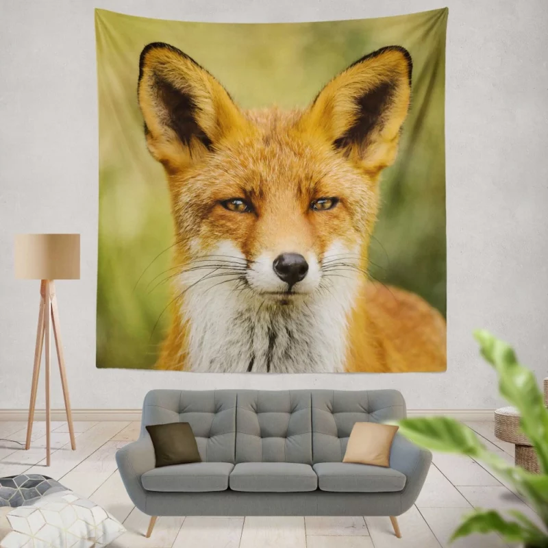 Fox Sly Stare Wilderness Intrigue Wall Hanging Tapestry