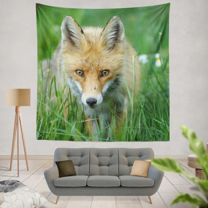 Fox Stare Amidst Green Grass Wall Hanging Tapestry