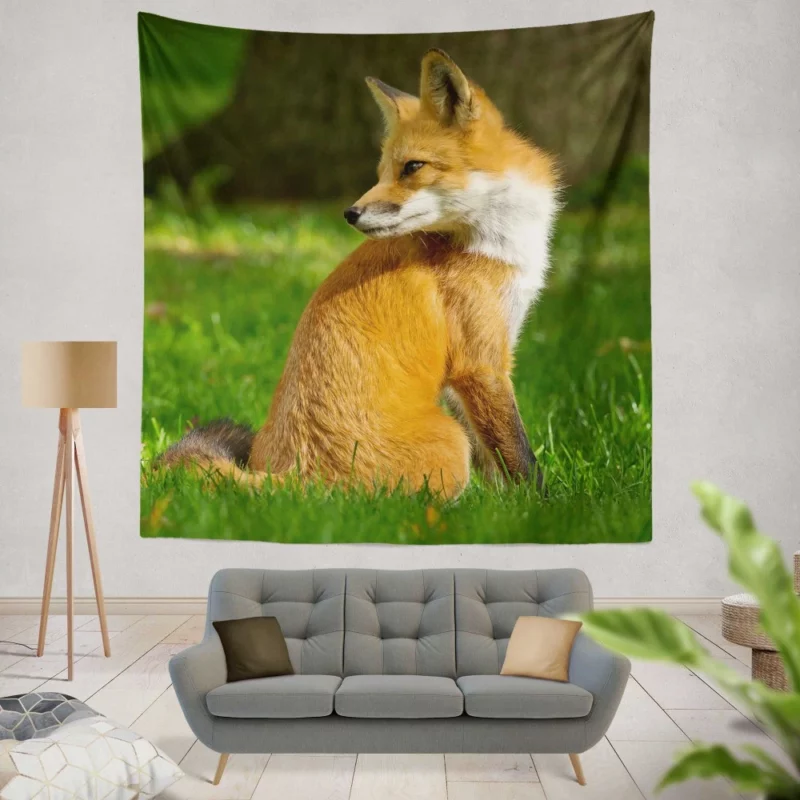 Fox in Grass Natural Curiosity Wall Hanging Tapestry