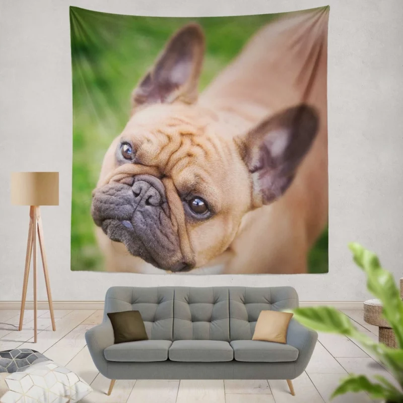 French Bulldog Adorable Antics Furry Joy Wall Hanging Tapestry