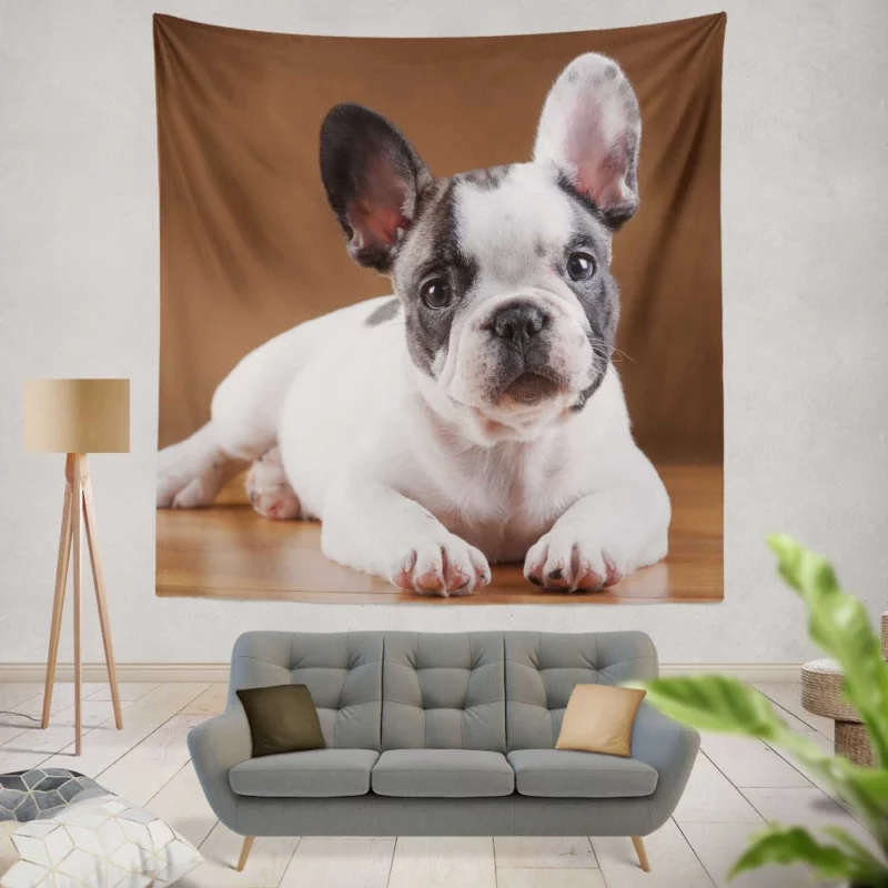 French Bulldog Adorable Muzzle Playful Innocence Wall Hanging Tapestry