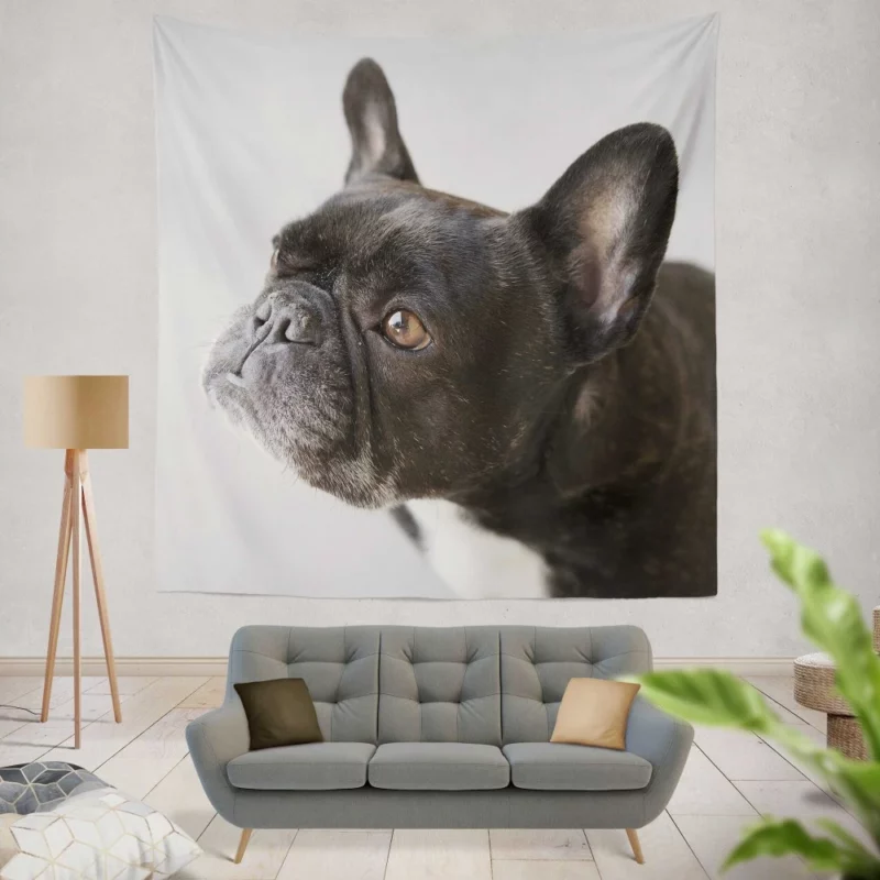 French Bulldog Charming Muzzle Wall Hanging Tapestry