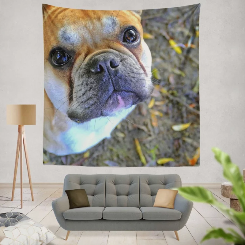 French Bulldog Charming Rest Muzzle Comfort Wall Hanging Tapestry