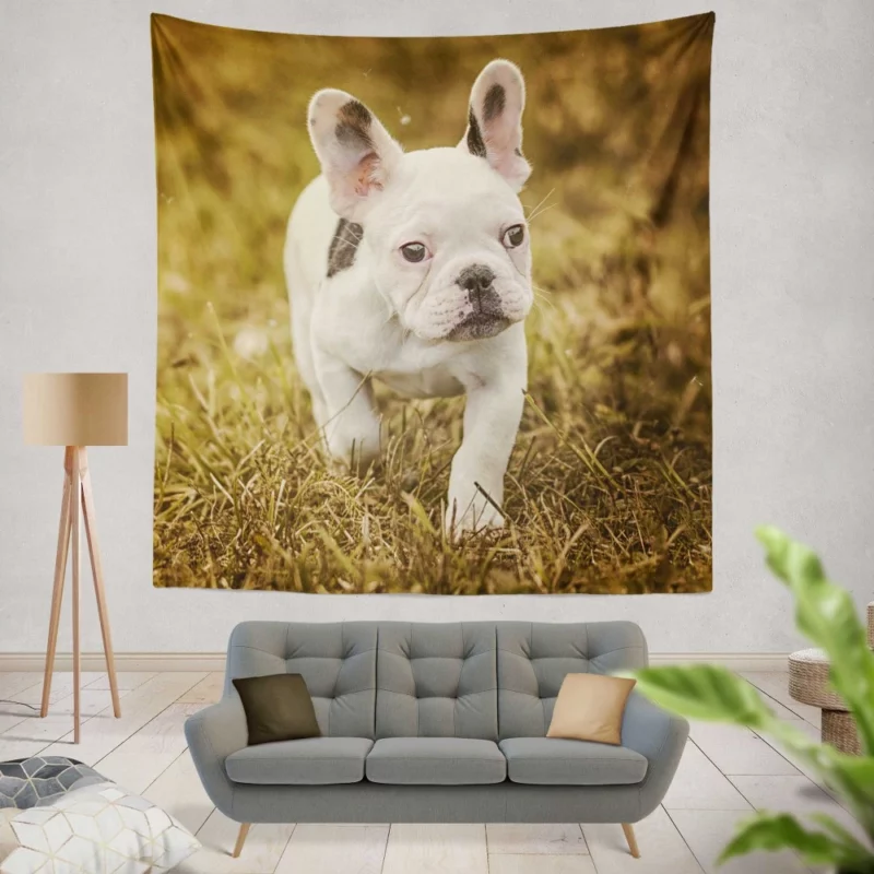 French Bulldog Quirky Charisma Wall Hanging Tapestry