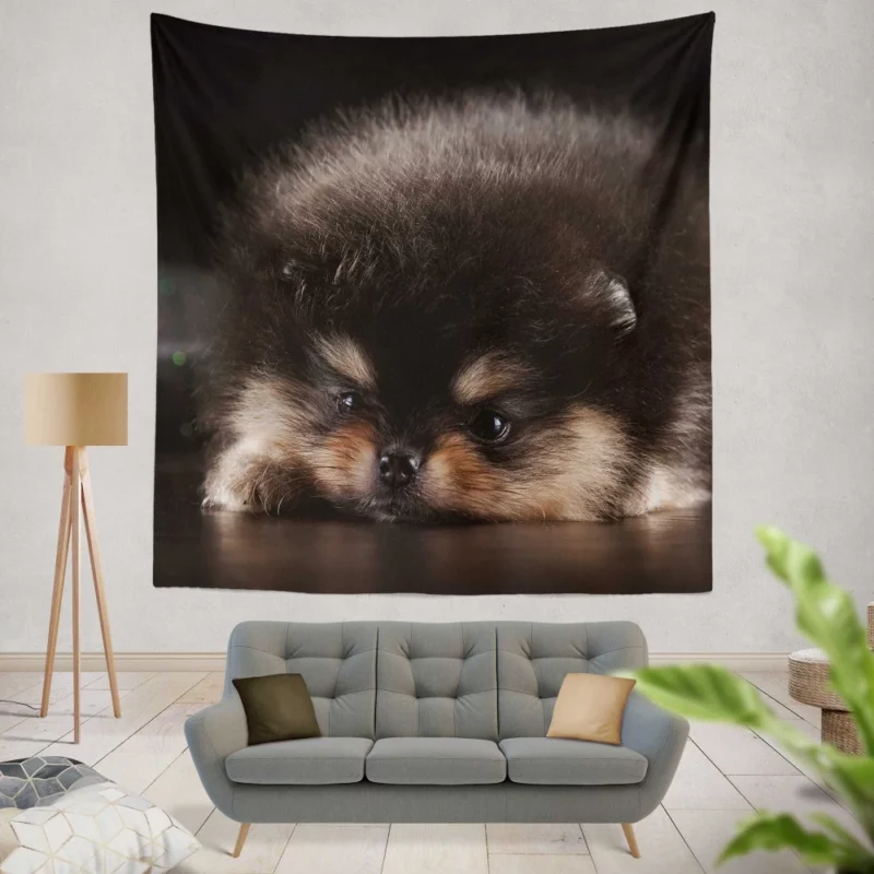 Furry Fur Ball Cuteness Baby Joy Wall Hanging Tapestry