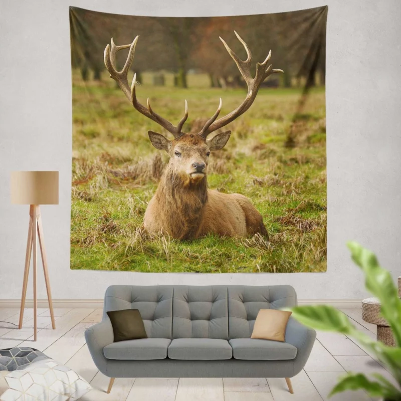 Gentle Deer Beauty Wall Hanging Tapestry