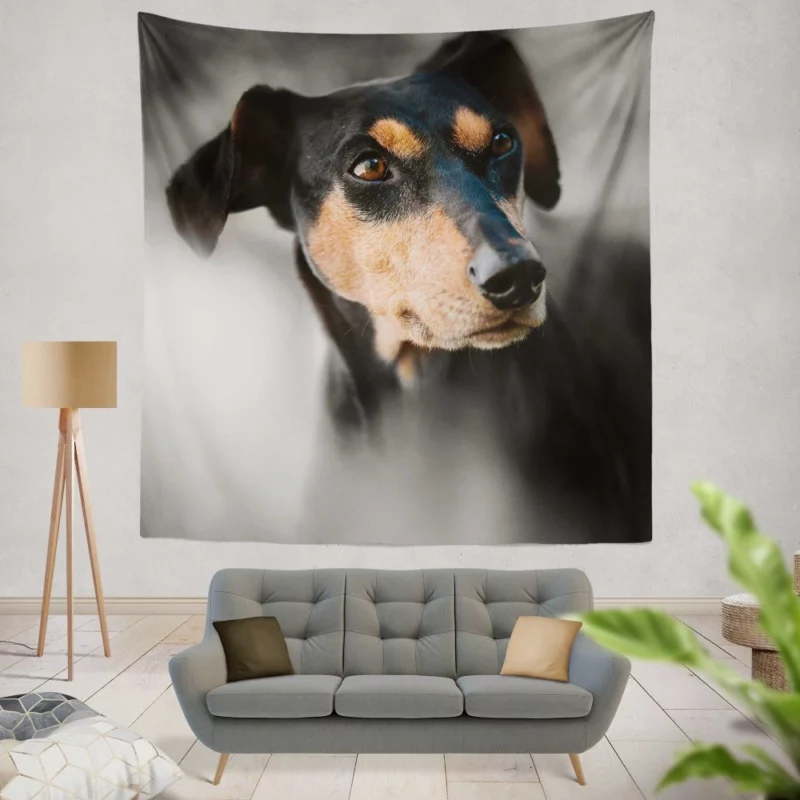 German Pinscher Muzzle in Blur Canine Curiosity Wall Hanging Tapestry