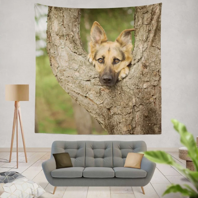 German Shepherd Bokeh Gaze Furry Beauty Wall Hanging Tapestry