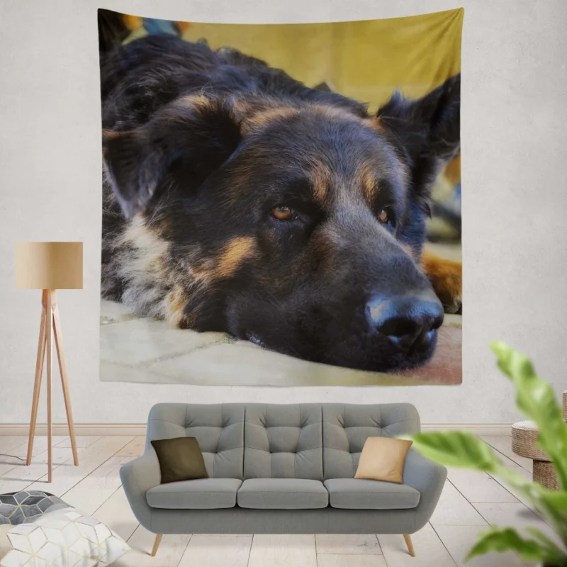 German Shepherd Close-Up Rest Intimate Beauty Wall Hanging Tapestry