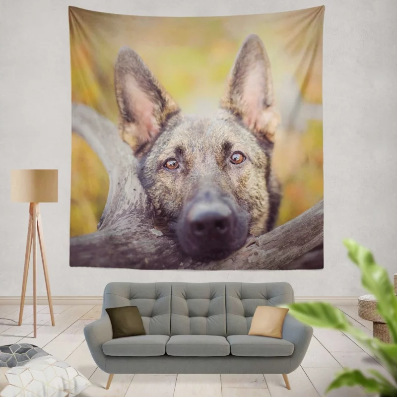 German Shepherd Fierce Stare Wall Hanging Tapestry