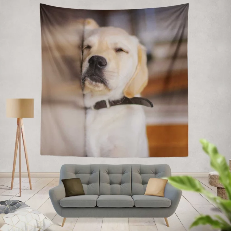 Golden Retriever Curious Gaze Wall Hanging Tapestry