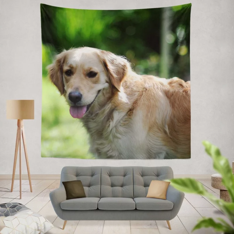 Golden Retriever Muzzle in Blur Canine Charm Wall Hanging Tapestry