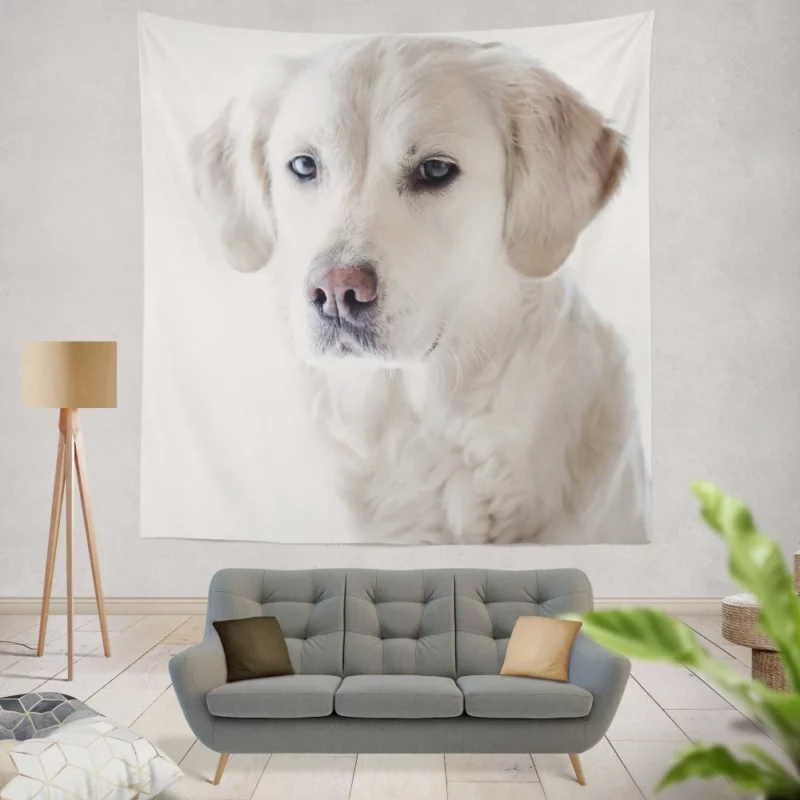 Golden Retriever Thoughtful Gaze Canine Reflection Wall Hanging Tapestry