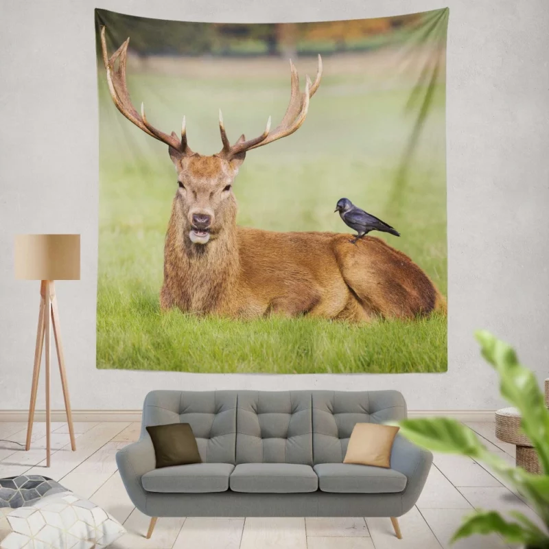 Graceful Deer in Meadow Bird Eye Wall Hanging Tapestry