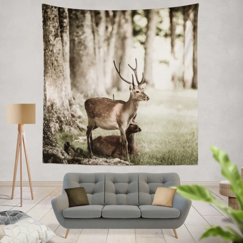 Graceful Deer in Sunlit Grass Wall Hanging Tapestry