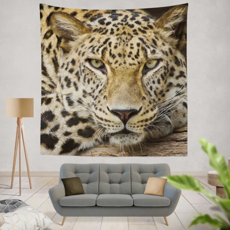 Graceful Leopard Enigmatic Charm Wall Hanging Tapestry