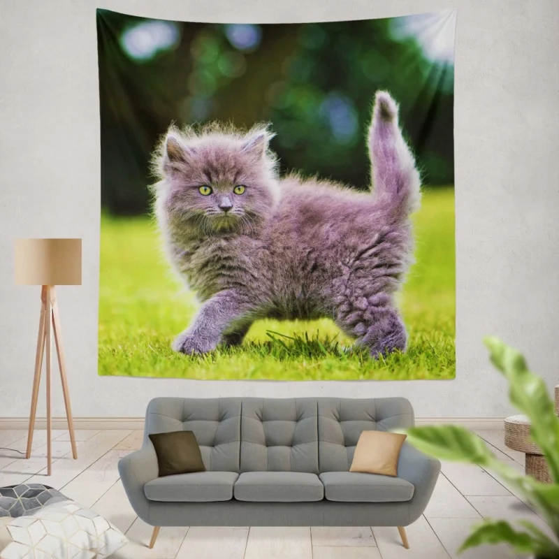 Gray Fluffy Kitten Wall Hanging Tapestry