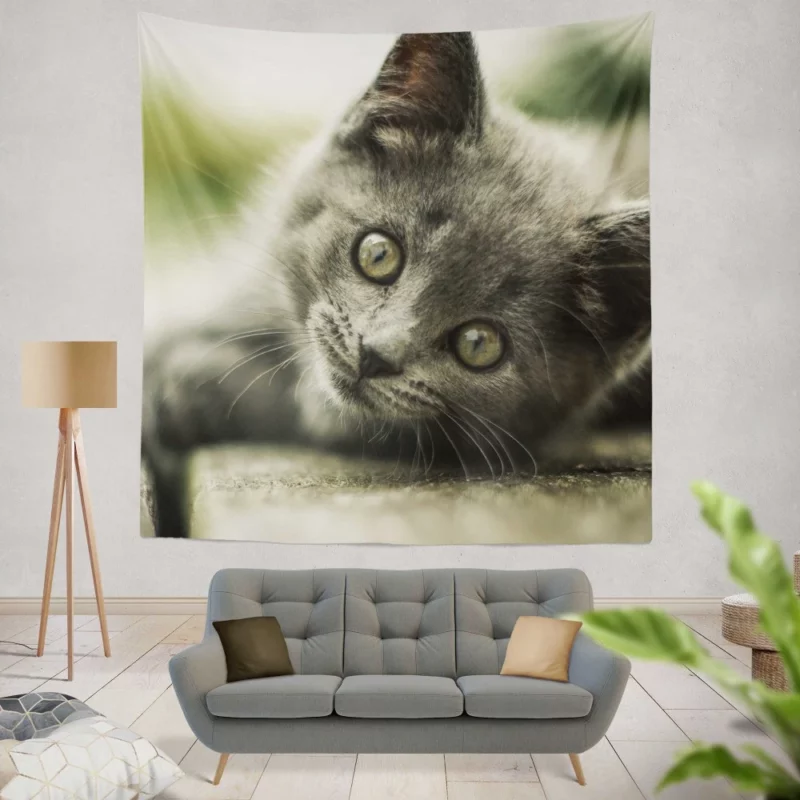 Gray Kitten Adorable Innocence Wall Hanging Tapestry