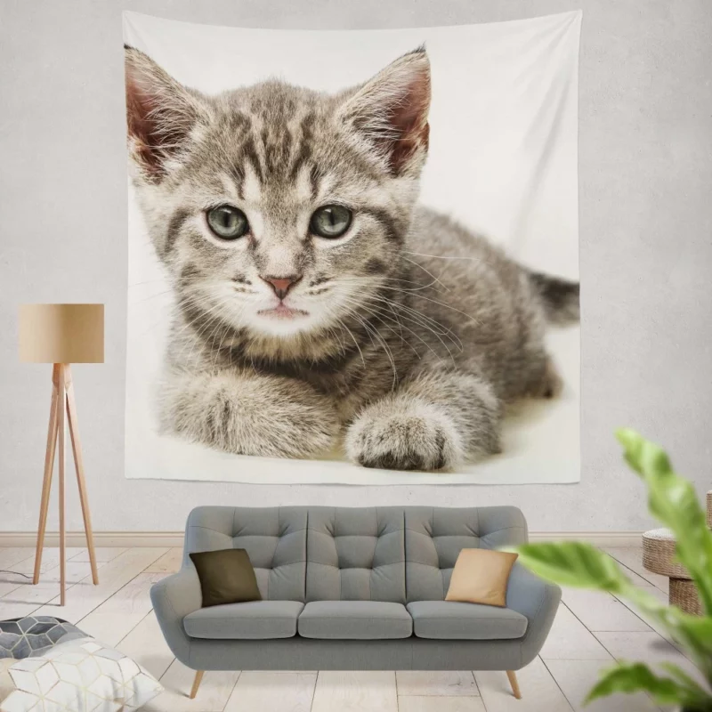 Gray Kitten Innocent Curiosity Wall Hanging Tapestry