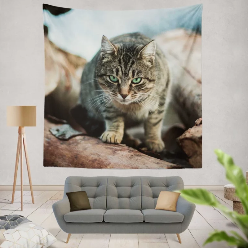 Green-Eyed Cat Mesmerizing Stare Wall Hanging Tapestry