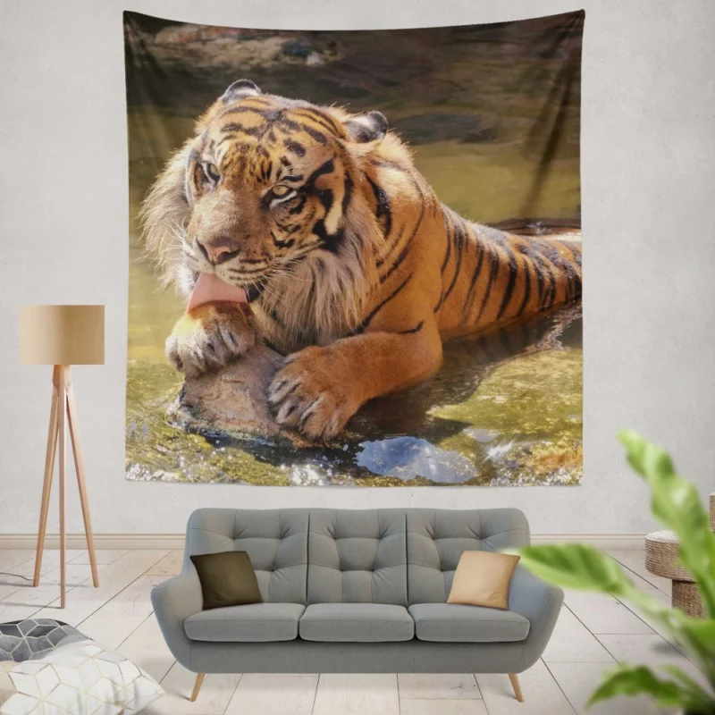 Happy and Cool Sumatran Tiger Zoo Story Wall Hanging Tapestry