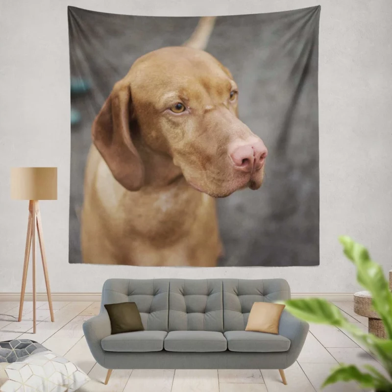 Hungarian Vizsla Muzzle Stance Canine Beauty Wall Hanging Tapestry