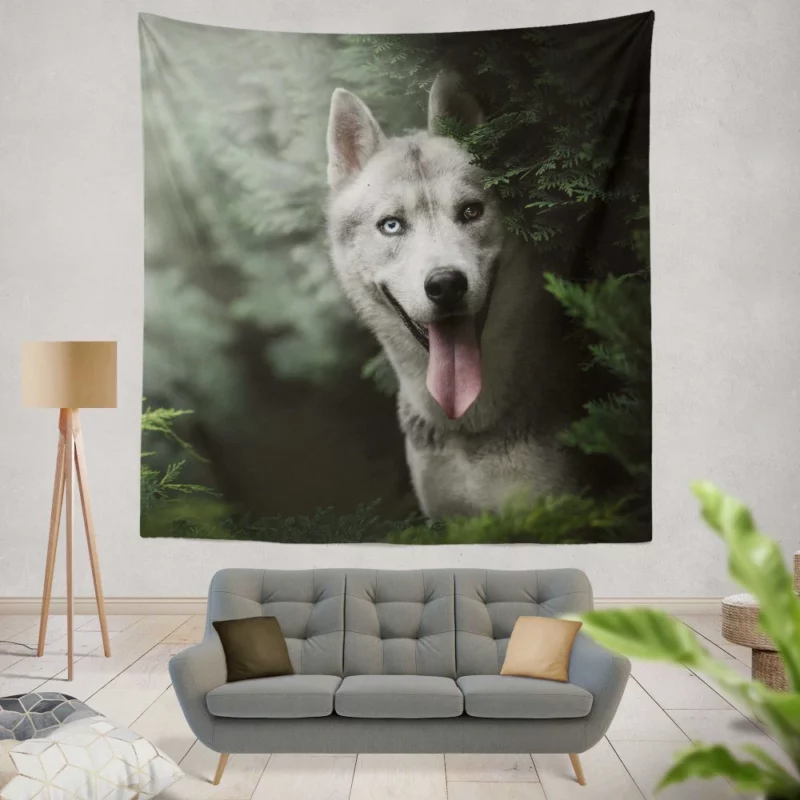 Husky Heterochromia Muzzle of Wonder Wall Hanging Tapestry