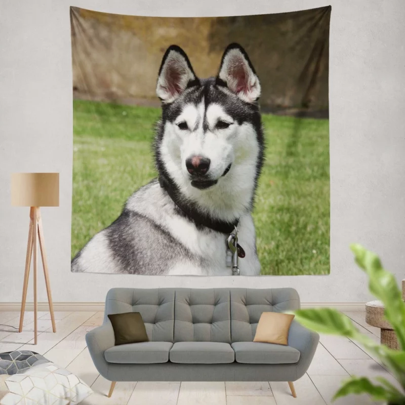 Husky Howling Wilderness Adventure Wall Hanging Tapestry