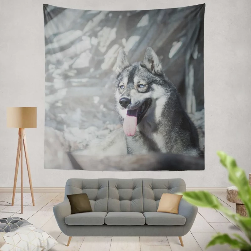 Husky Wintry Stare Arctic Spirit Wall Hanging Tapestry