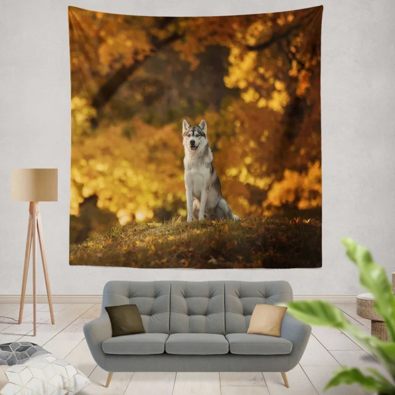 Husky in Fall Canine Adventure Wall Hanging Tapestry